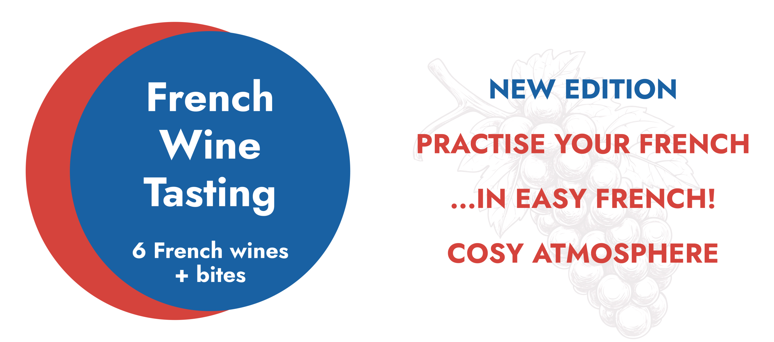 FR VINOLINGO BANNER 1